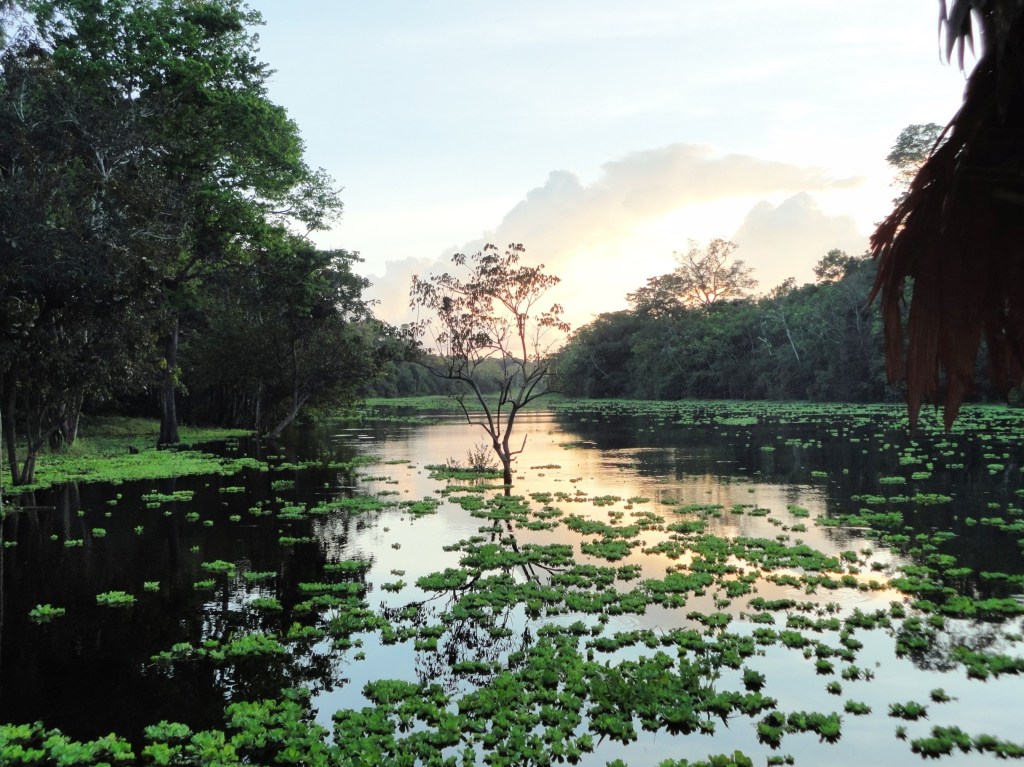 Atardecer en el Amazonas peruano. Atardecer en el Amazonas peruano. Río Yanayacu junto al Muyuna Amazon Lodge.